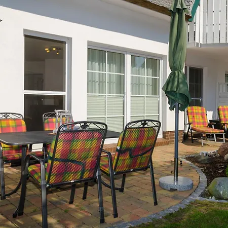 Magister Wigbold 12 青斯特